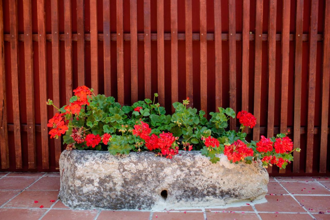 Quinta De Vila Nova - Agroturismo มองเซา ภายนอก รูปภาพ