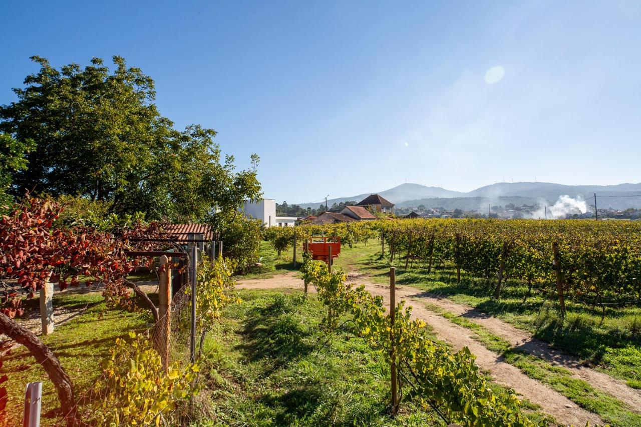Quinta De Vila Nova - Agroturismo มองเซา ภายนอก รูปภาพ