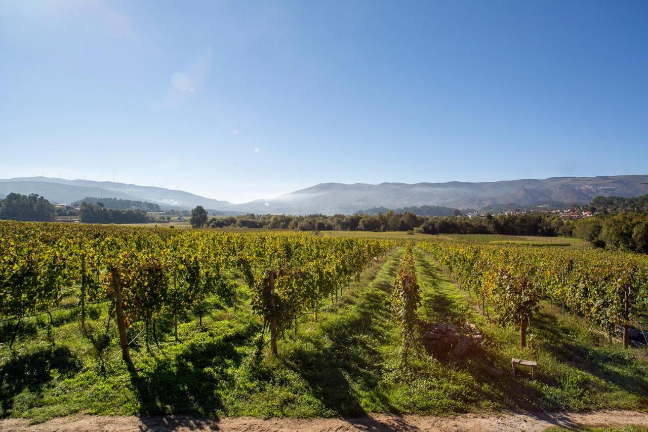Quinta De Vila Nova - Agroturismo มองเซา ภายนอก รูปภาพ
